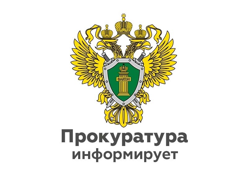 Приозерская городская прокуратура разъясняет:  Ответственность лиц, виновных в лесном пожаре.